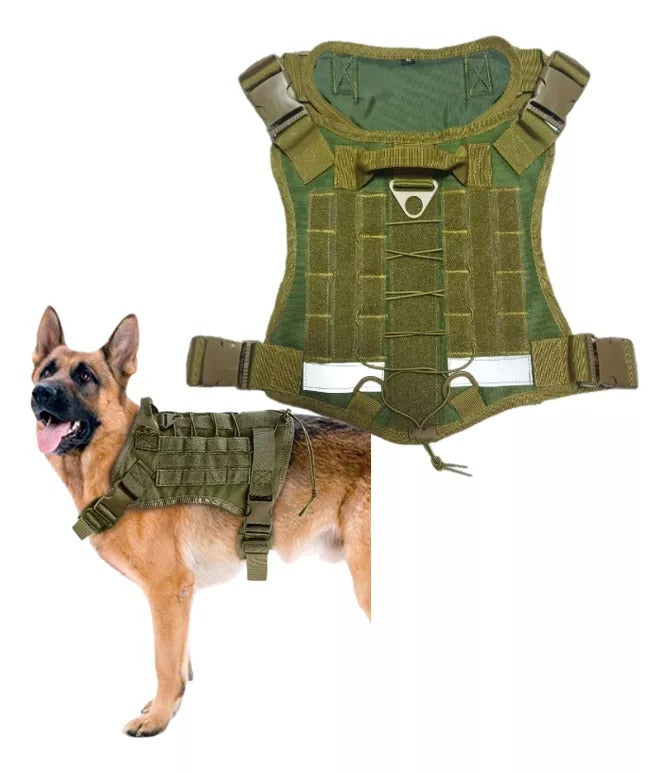Arnés Ajustable para Perros – Comodidad y Seguridad