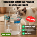 Bebedero Automático para Mascotas – Agua en movimiento